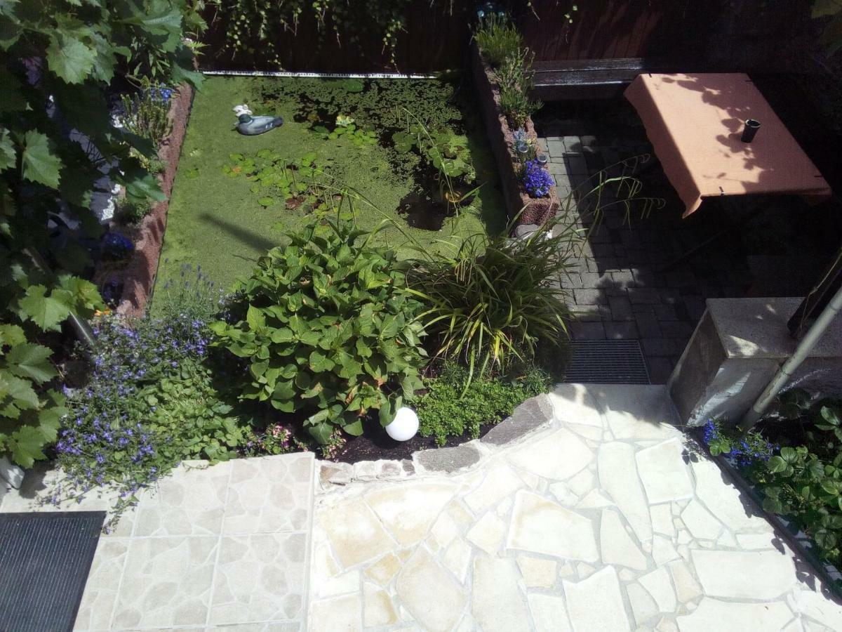 Haus Selina Villa Briedel Exterior photo